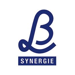 Logo L&B Synergie